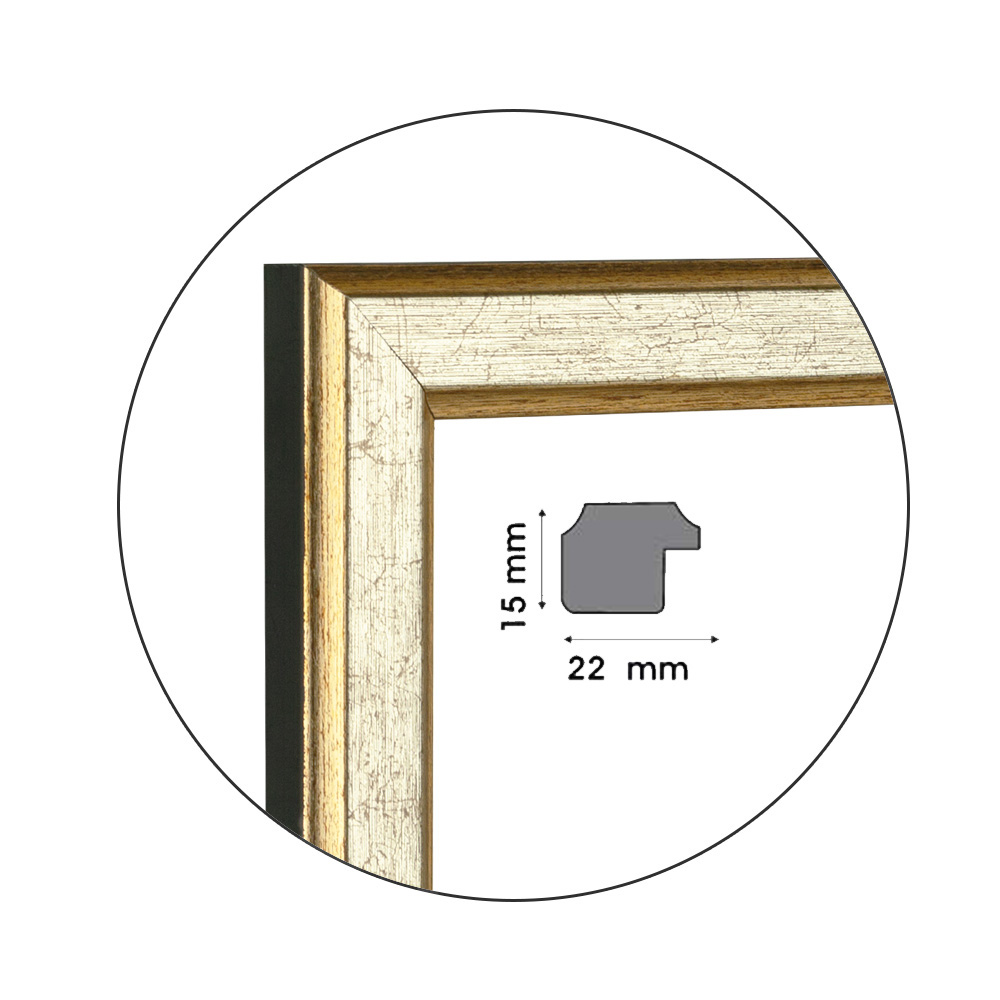 Ramă Silvery Gold | 2,2 cm